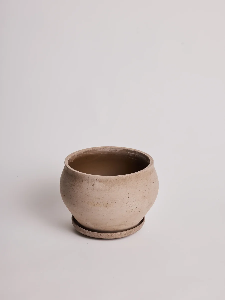 Delphi Low - Grey