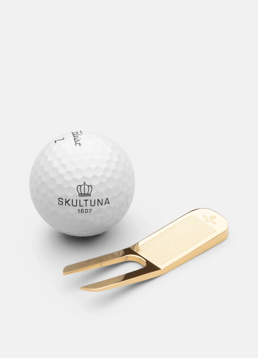 Golf korjaustyökalu – kullattu.
