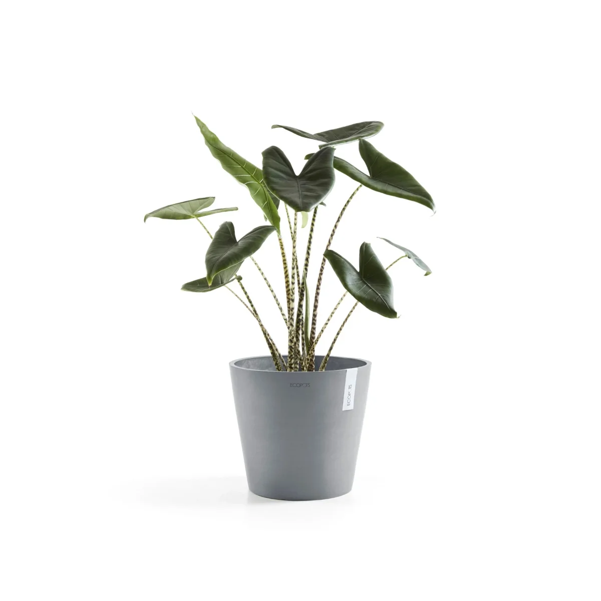Kukkaruukku Amsterdam 40cm siniharmaa