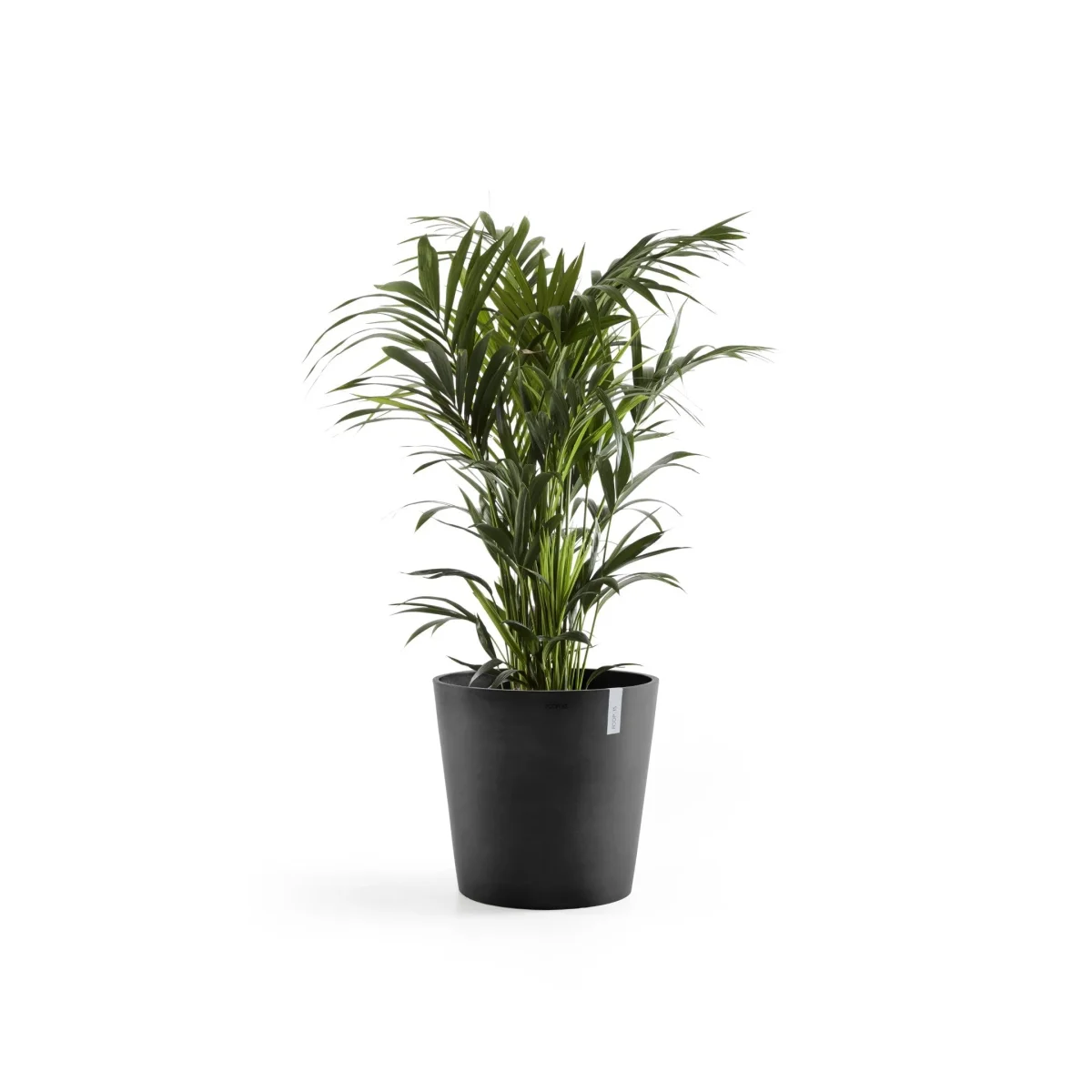 Kukkaruukku Amsterdam 50cm tummanharmaa