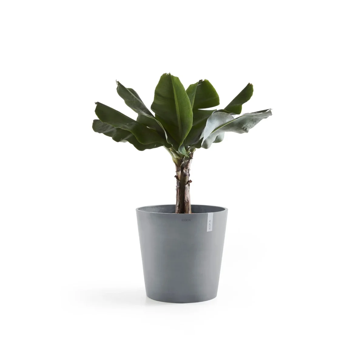 Kukkaruukku Amsterdam 60cm siniharmaa