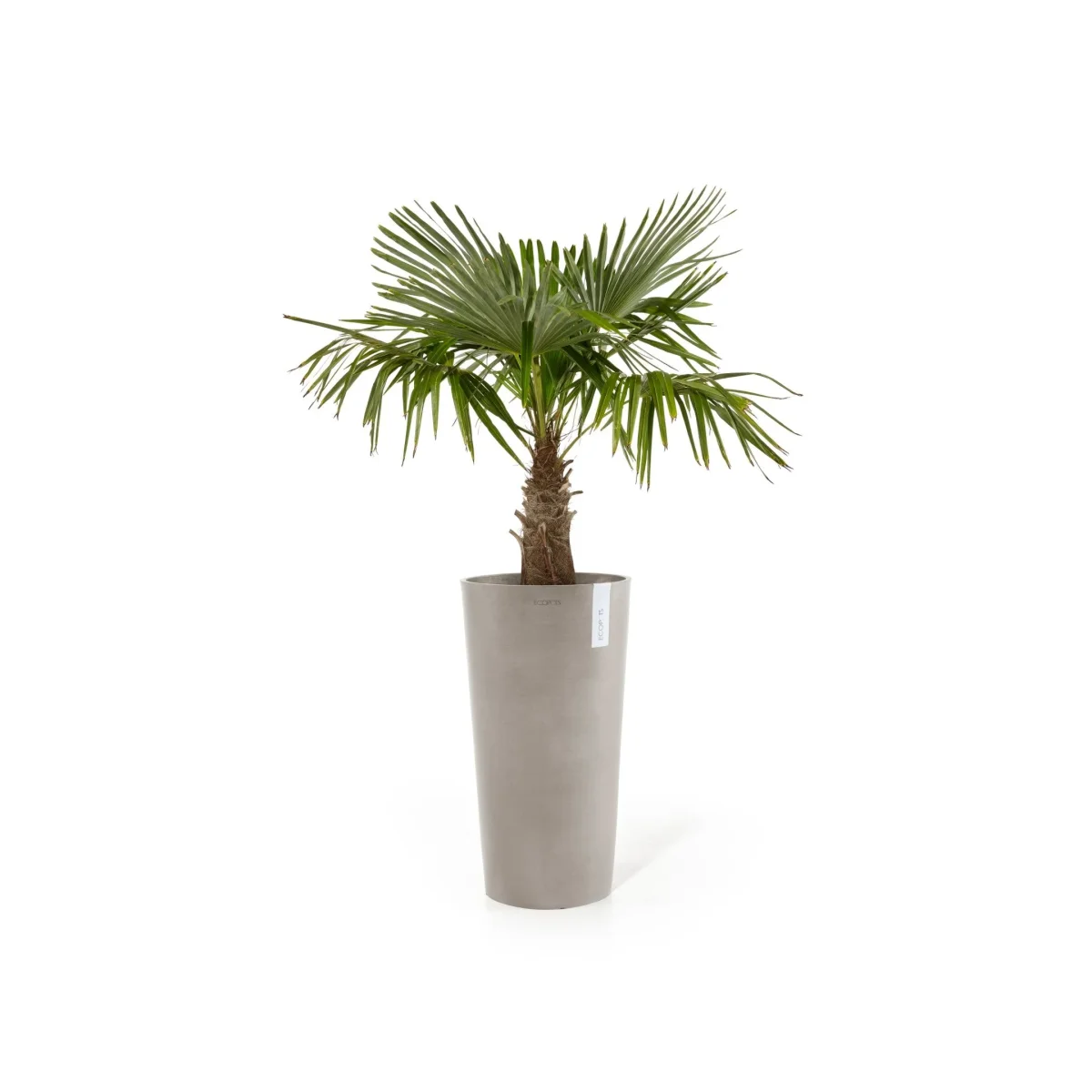 Kukkaruukku Amsterdam keskikorkea 66cm taupe