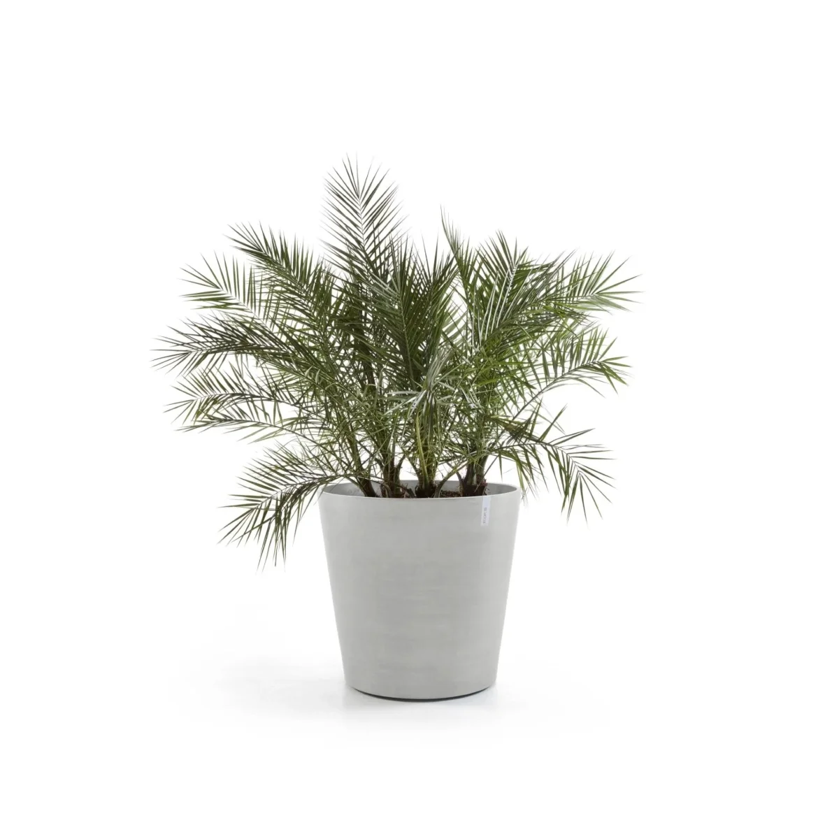 Kukkaruukku Amsterdam pyörillä 60cm valkoharmaa