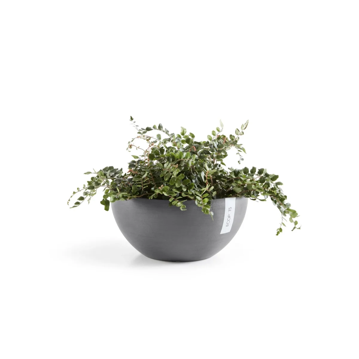 Kukkaruukku Brysseli 25cm harmaa