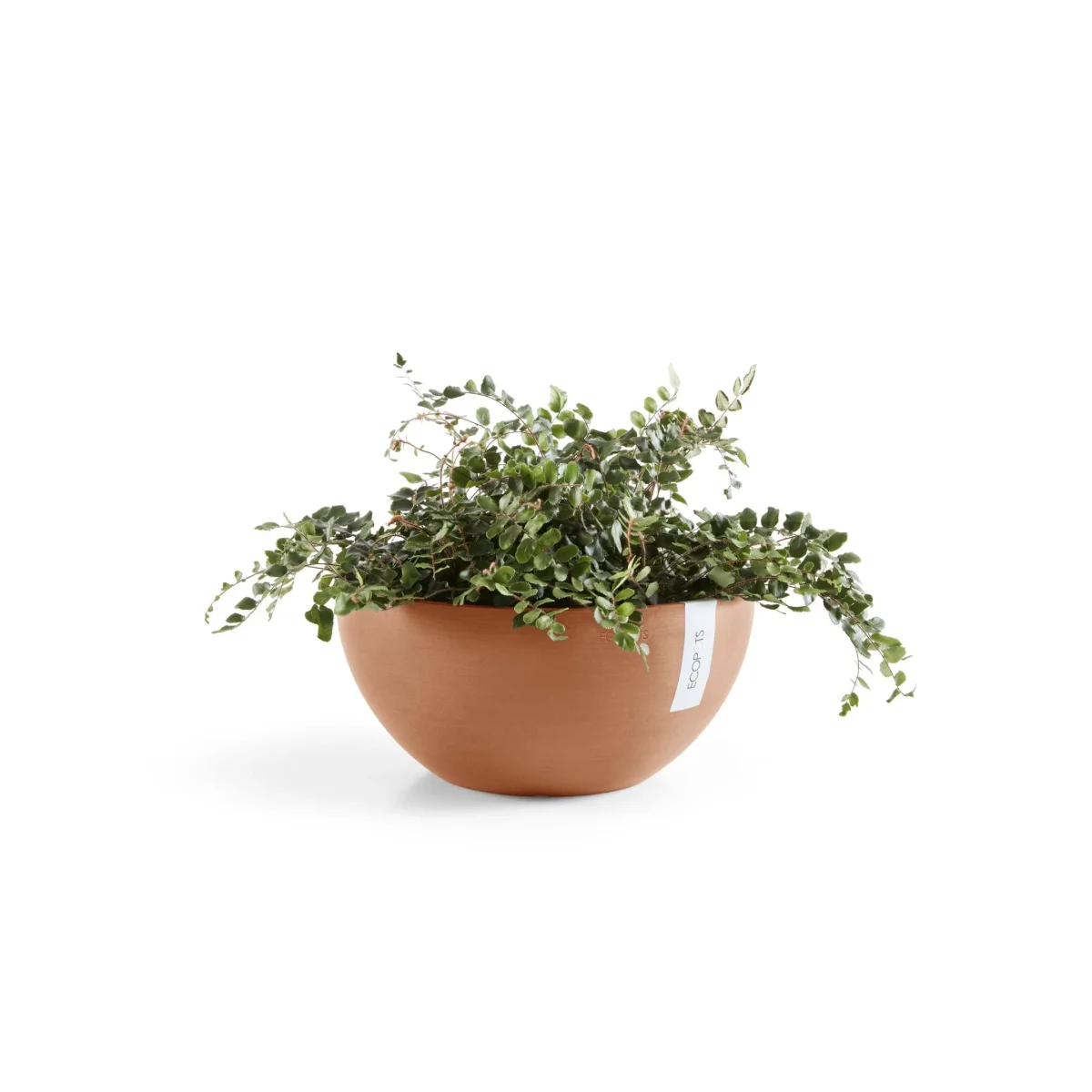 Kukkaruukku Brysseli 35cm terracotta