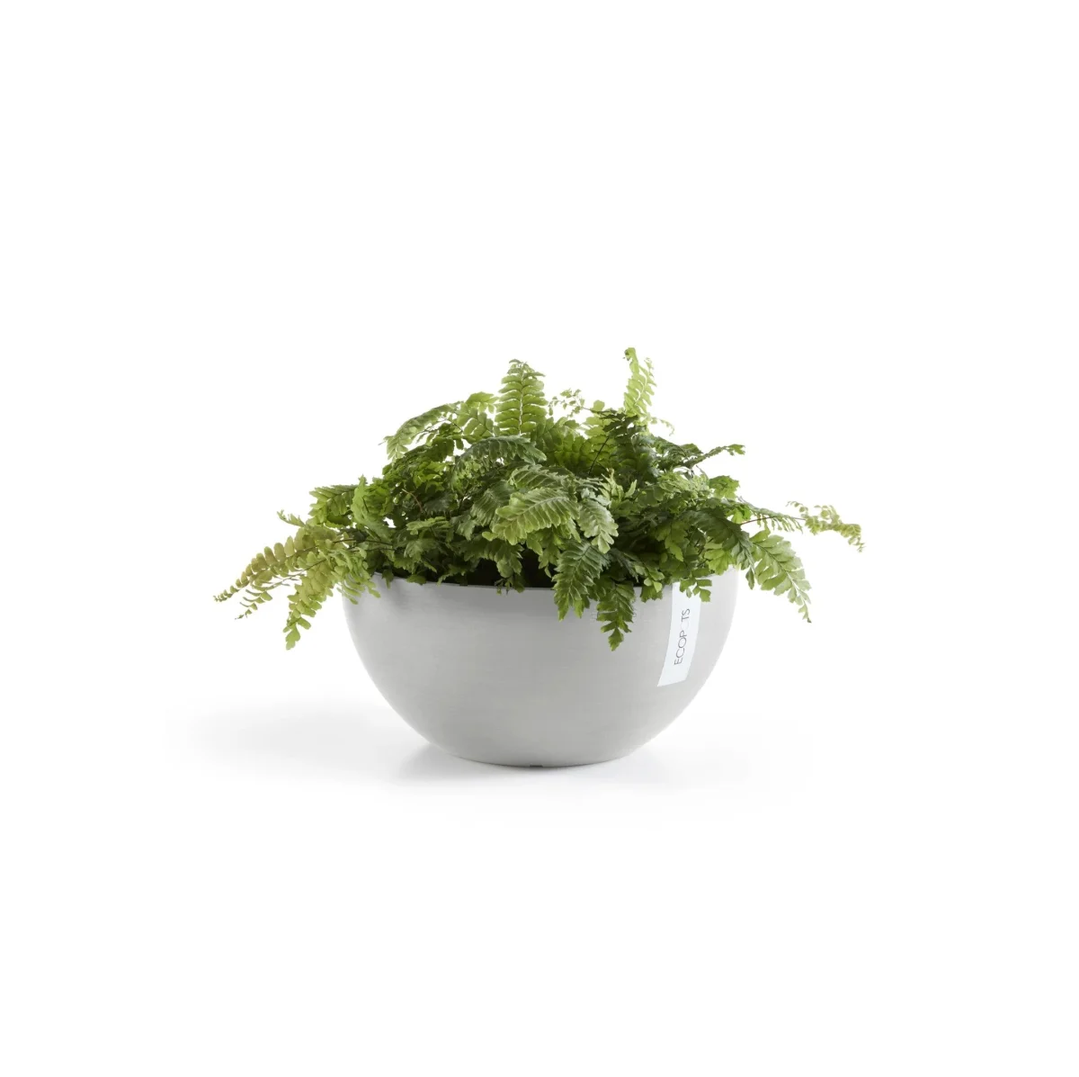 Kukkaruukku Brysseli 35cm valkoharmaa