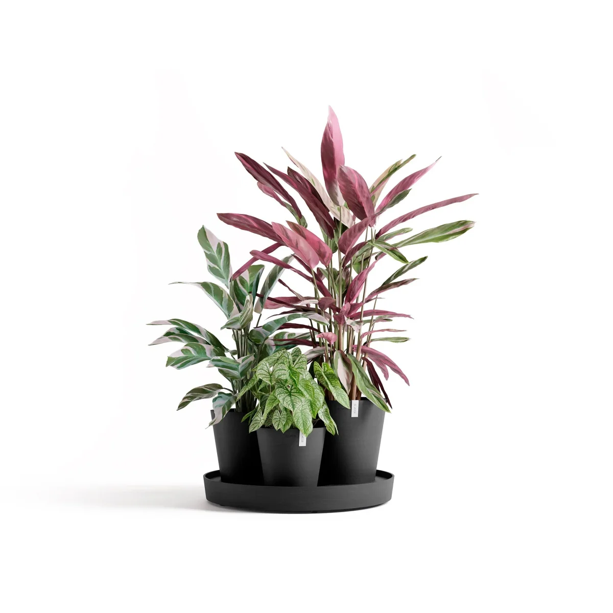Kukkaruukku Dubai 56cm tummanharmaa