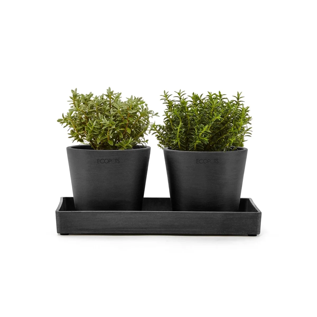 Kukkaruukku esillepanotarjotin 25cm tummanharmaa