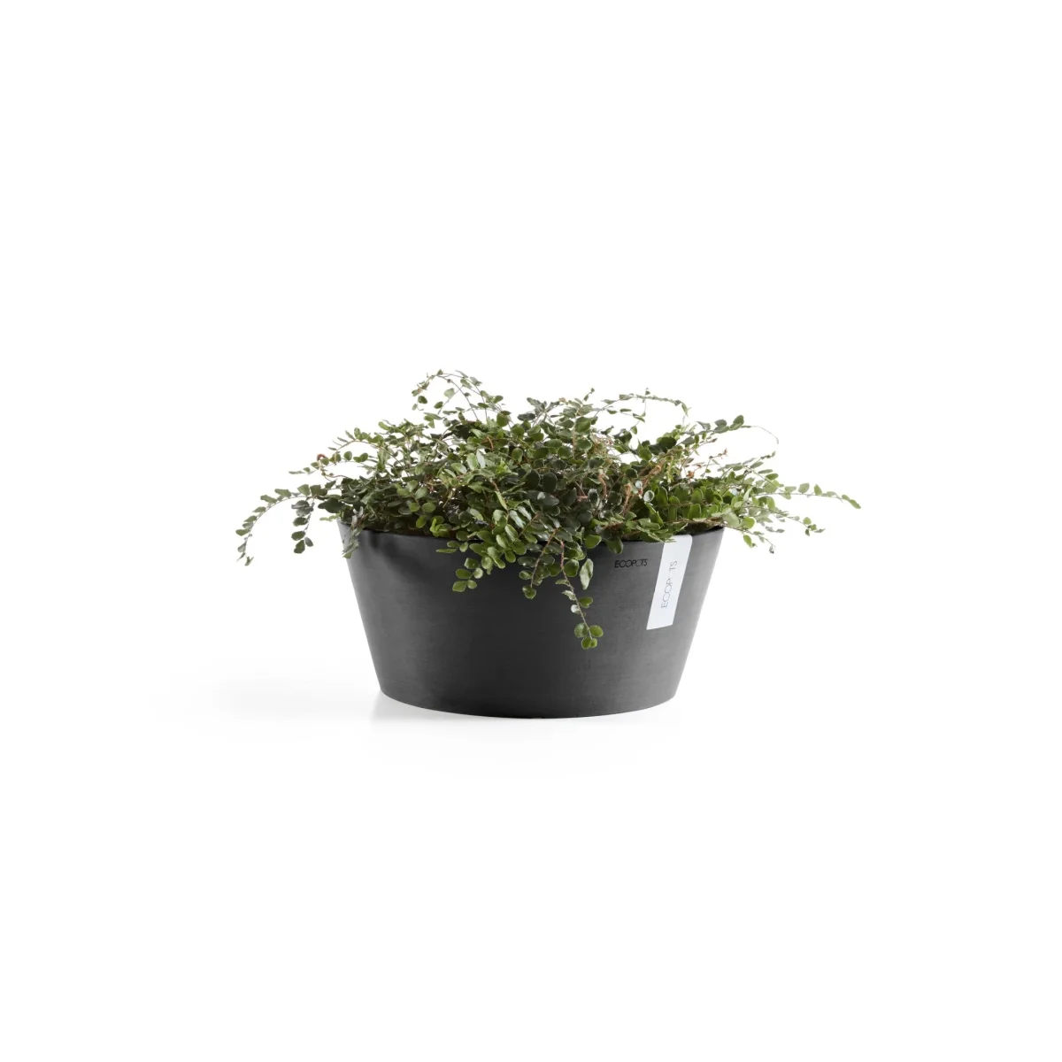 Kukkaruukku Frankfurt 40cm tummanharmaa