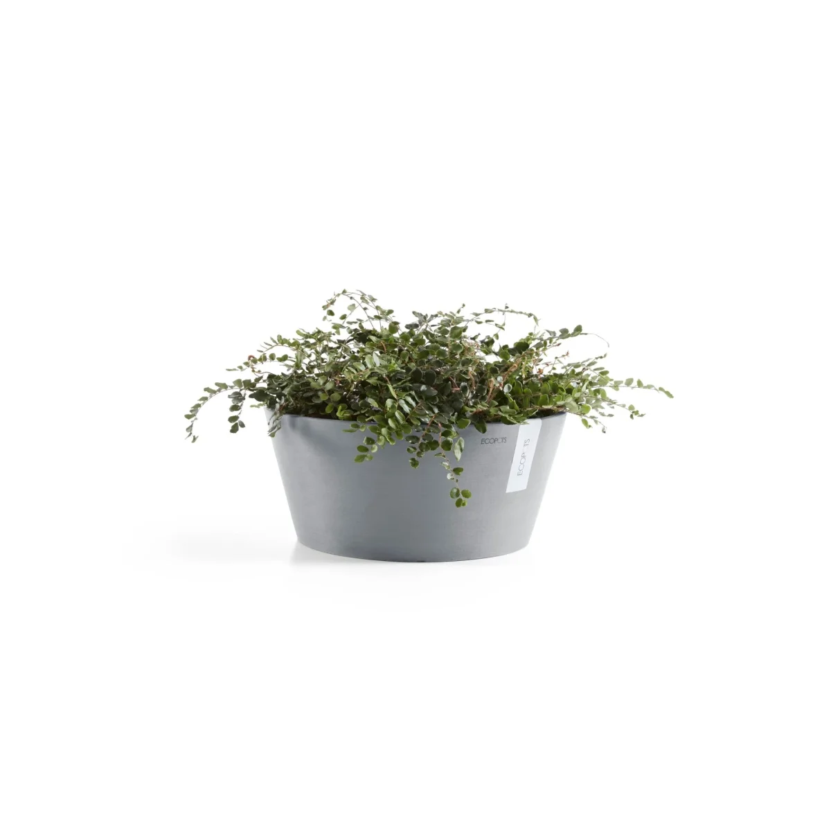 Kukkaruukku Frankfurt 50cm siniharmaa