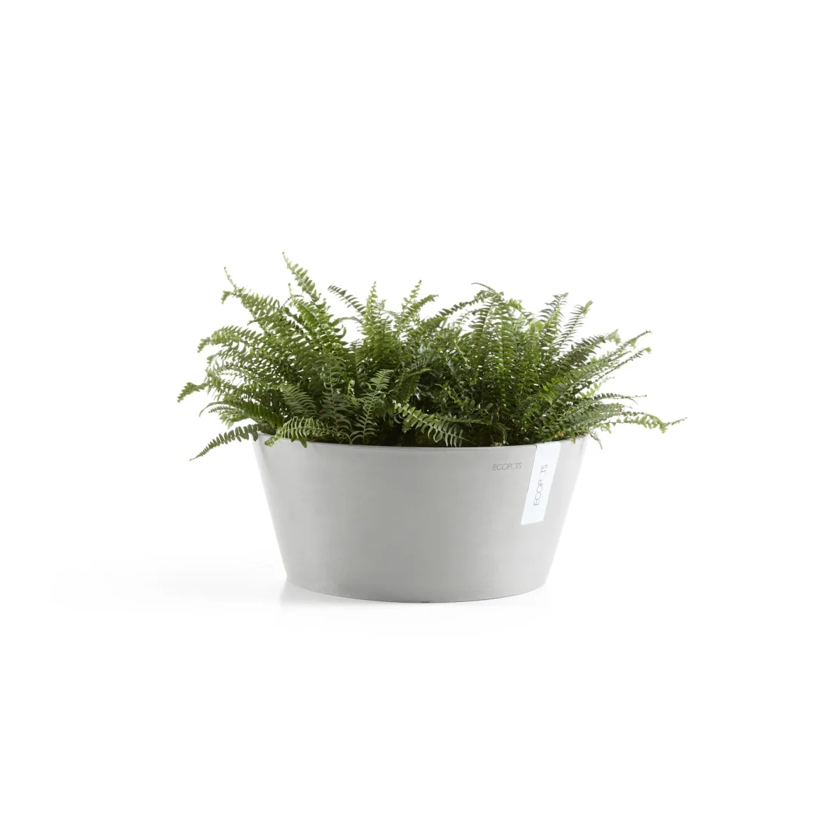 Kukkaruukku Frankfurt 50cm valkoharmaa