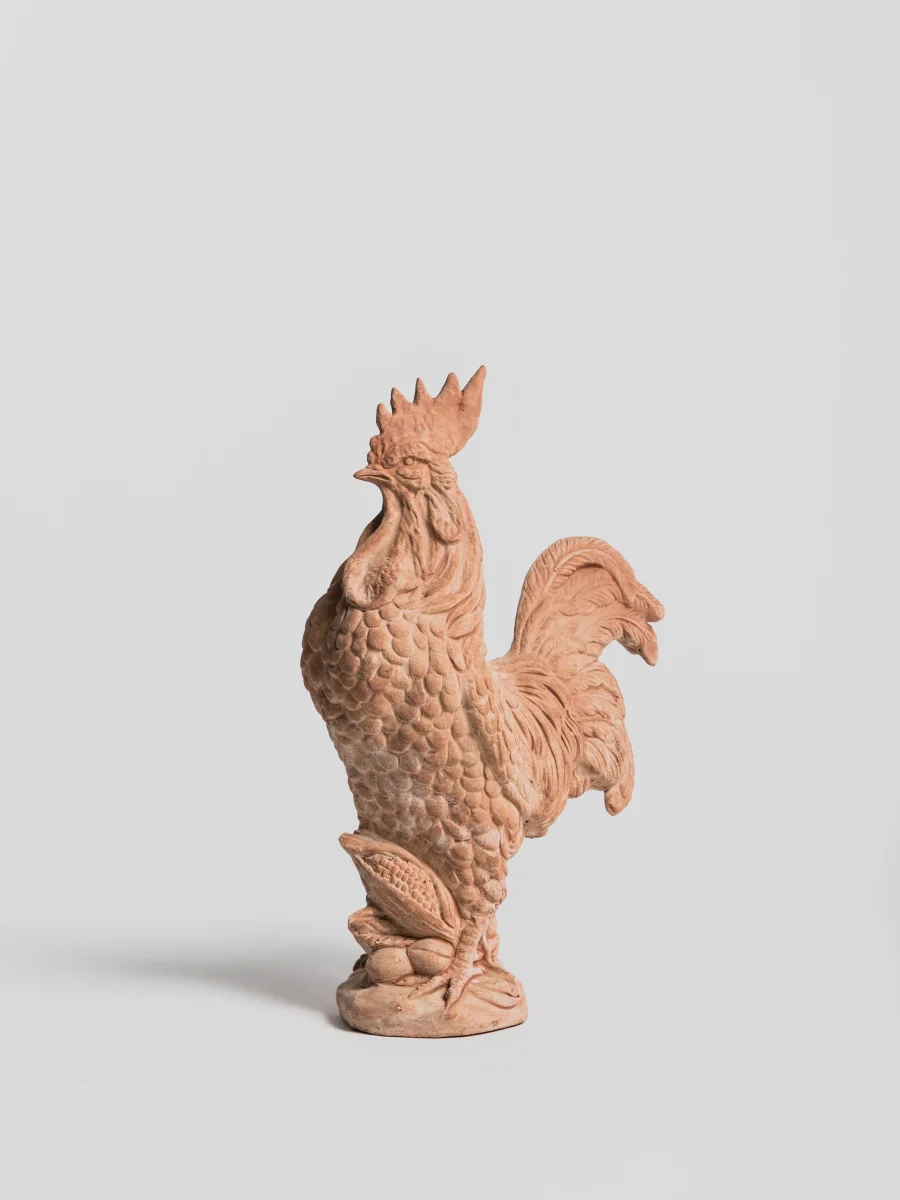 Gallo con Spiga