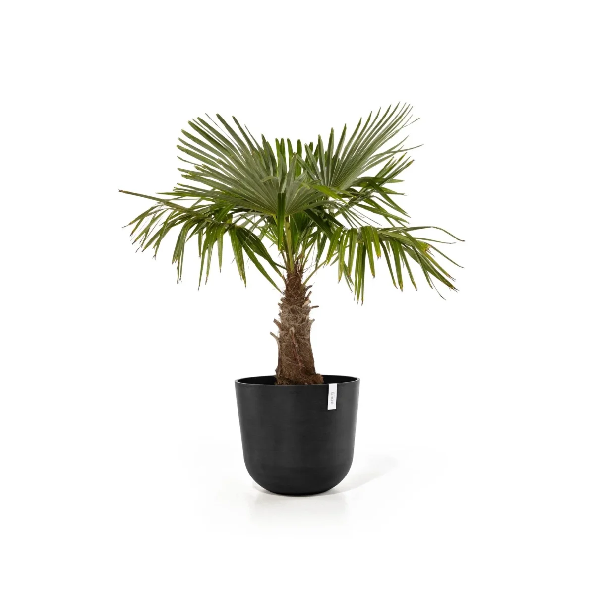 Kukkaruukku Oslo 75cm tummanharmaa
