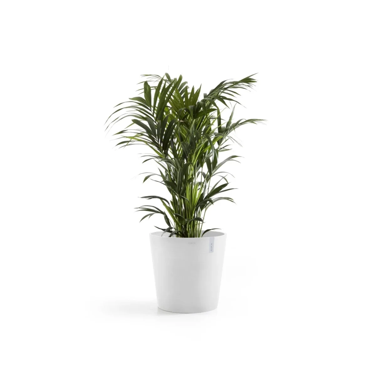 Kukkaruukku Amsterdam 50cm valkoinen