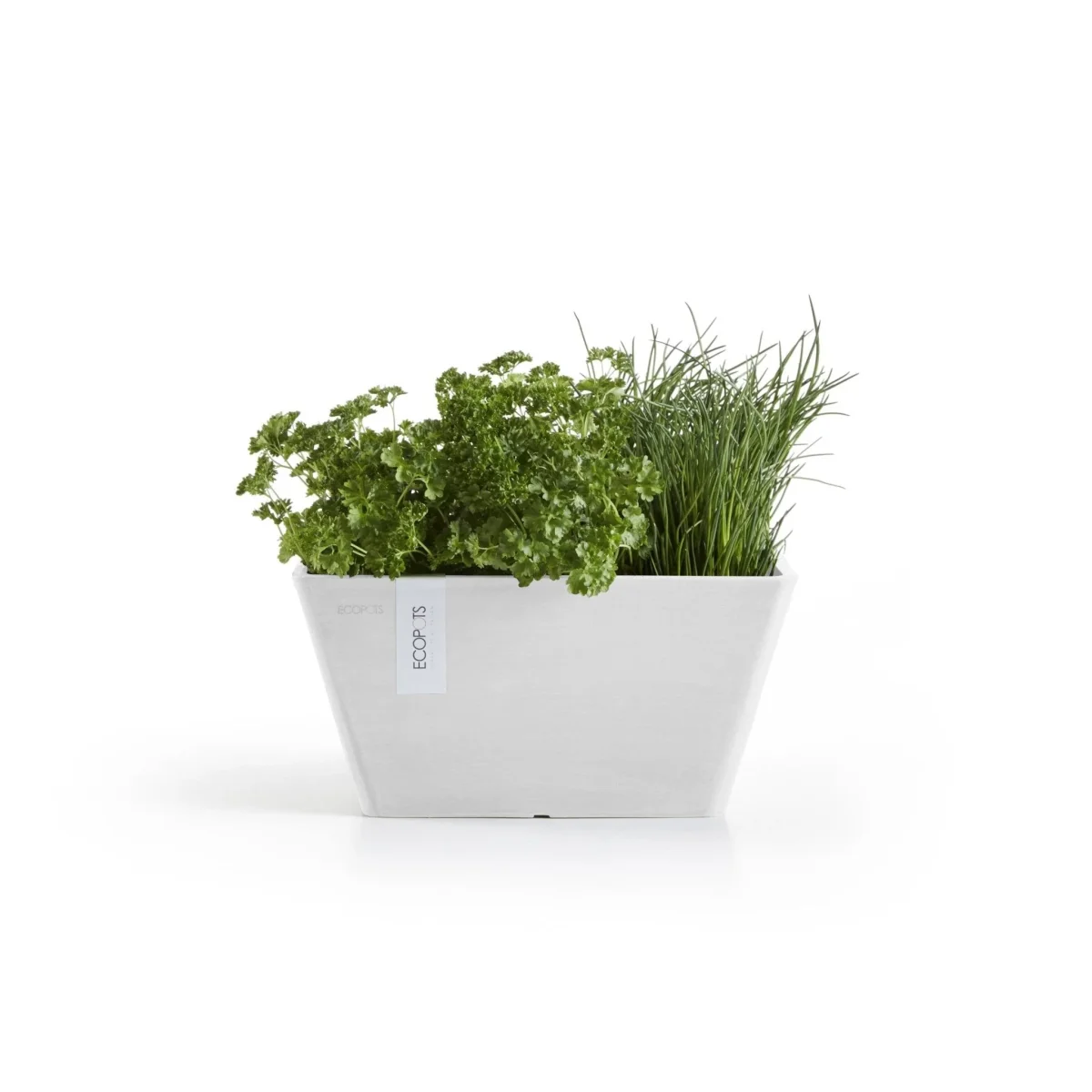 Kukkaruukku Berliini 30cm valkoinen