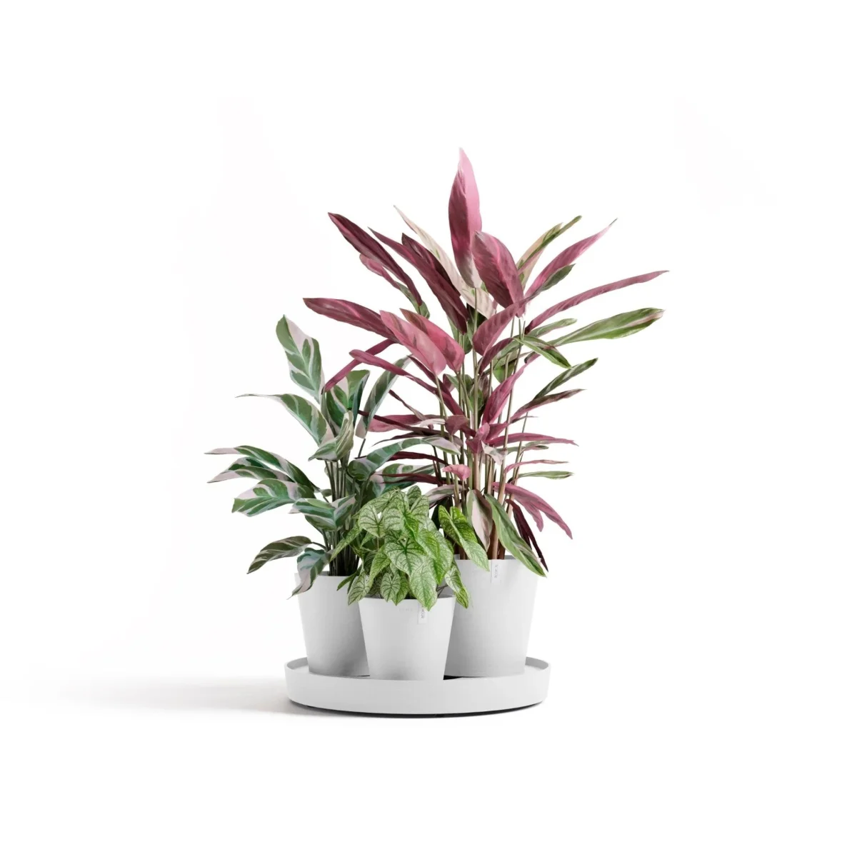 Kukkaruukku Dubai 56cm valkoinen