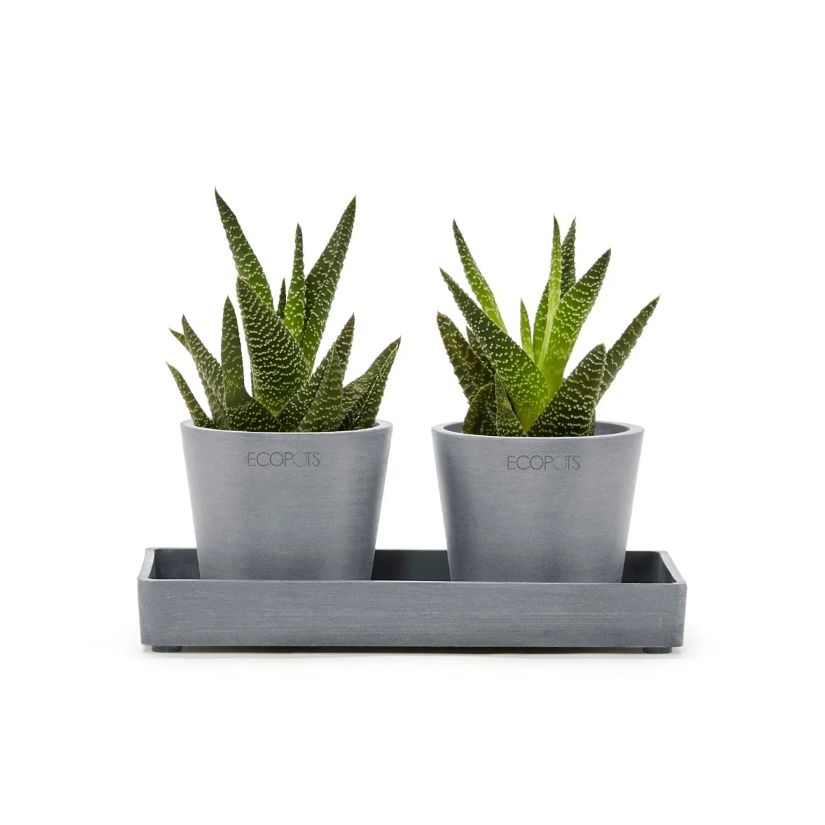 Kukkaruukku esillepanotarjotin 20cm siniharmaa