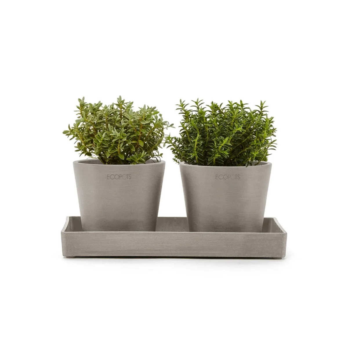Kukkaruukku esillepanotarjotin 25cm taupe
