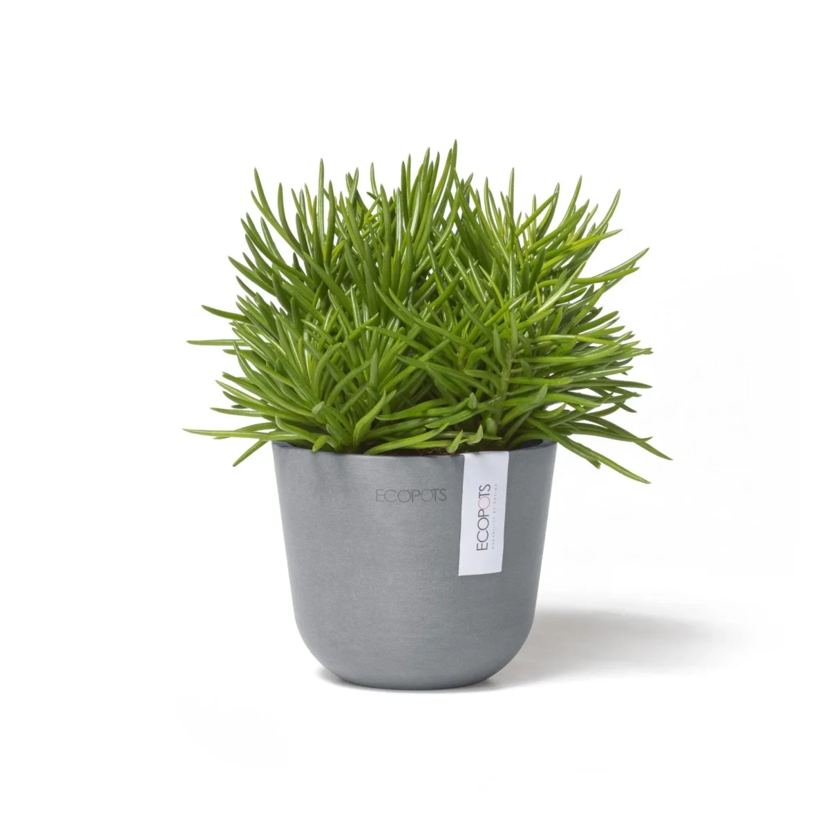 Kukkaruukku Oslo 11,5cm siniharmaa