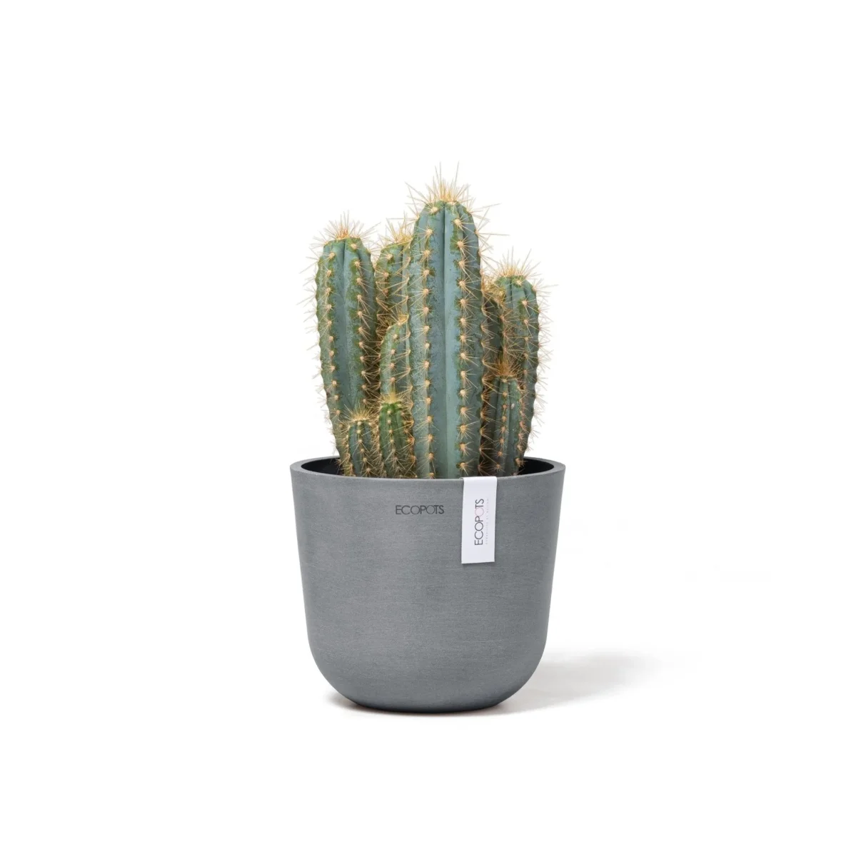 Kukkaruukku Oslo 16cm siniharmaa