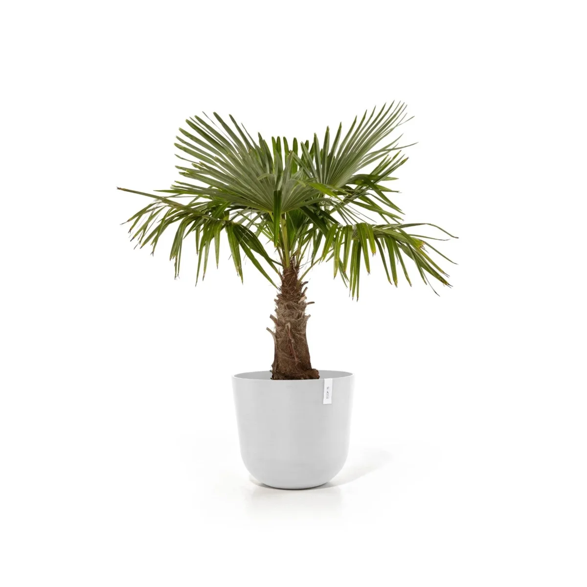 Kukkaruukku Oslo 55cm valkoinen