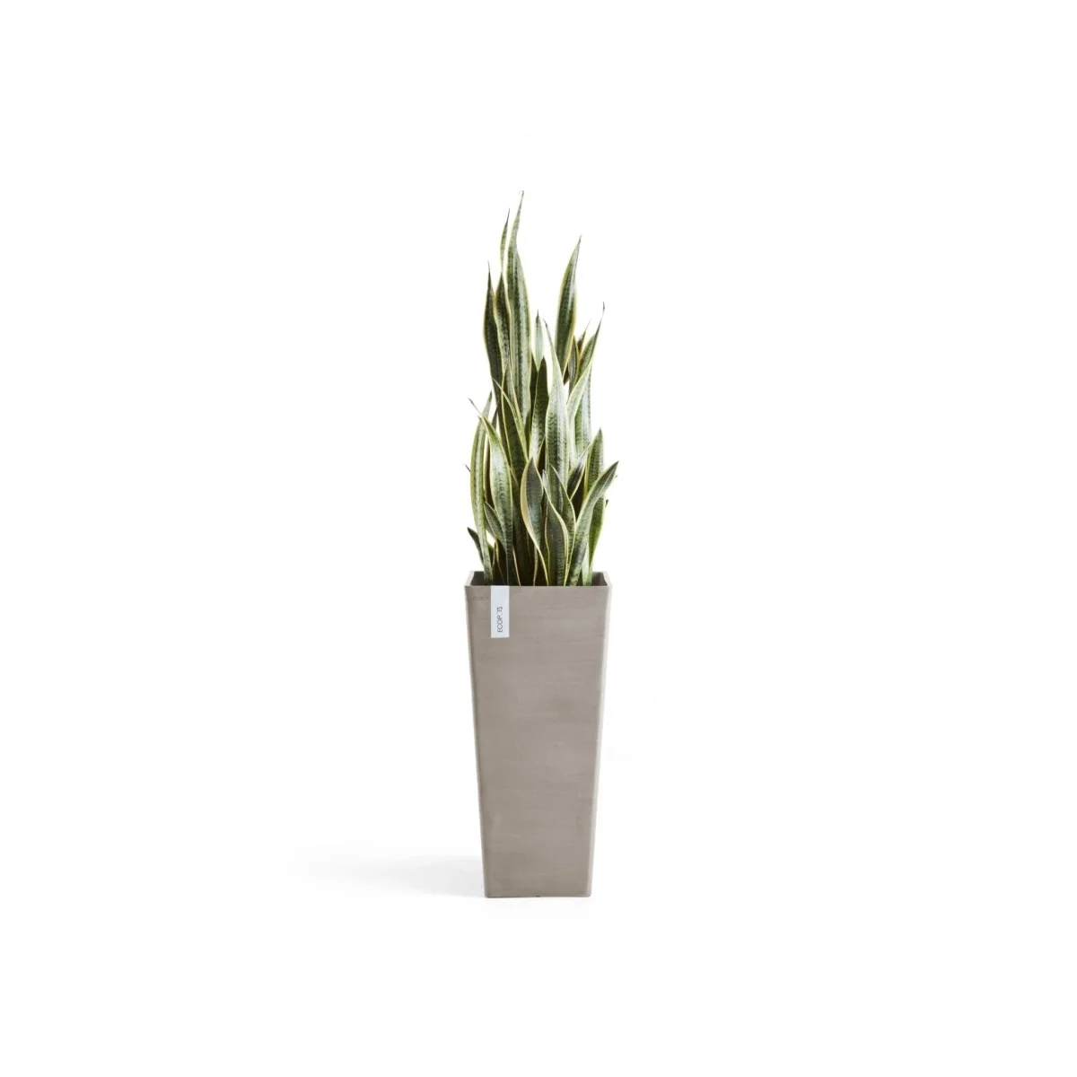 Kukkaruukku Rotterdam korkea 70cm taupe