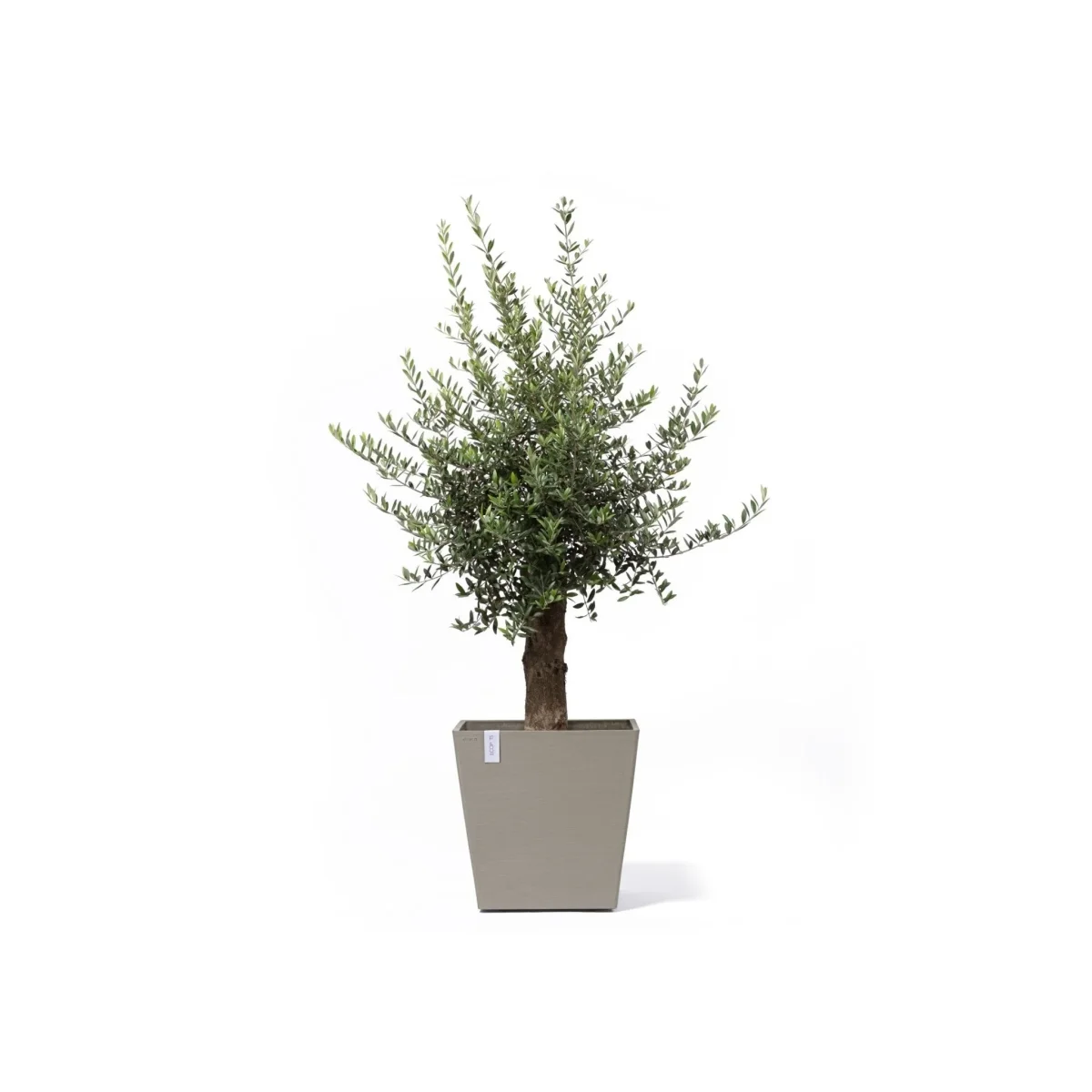 Kukkaruukku Rotterdam pyörillä 50cm taupe