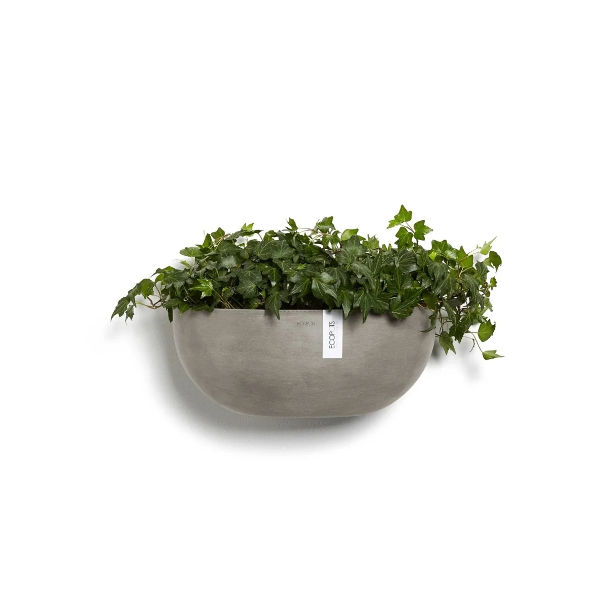 Kukkaruukku Sofia seinälle 43cm taupe