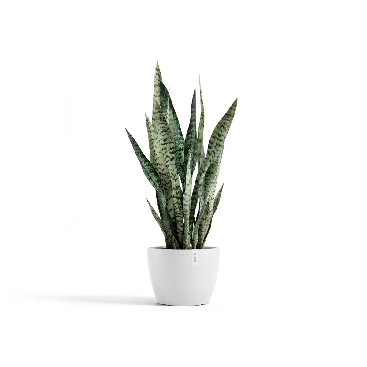 Kukkaruukku Tukholma 24cm valkoinen