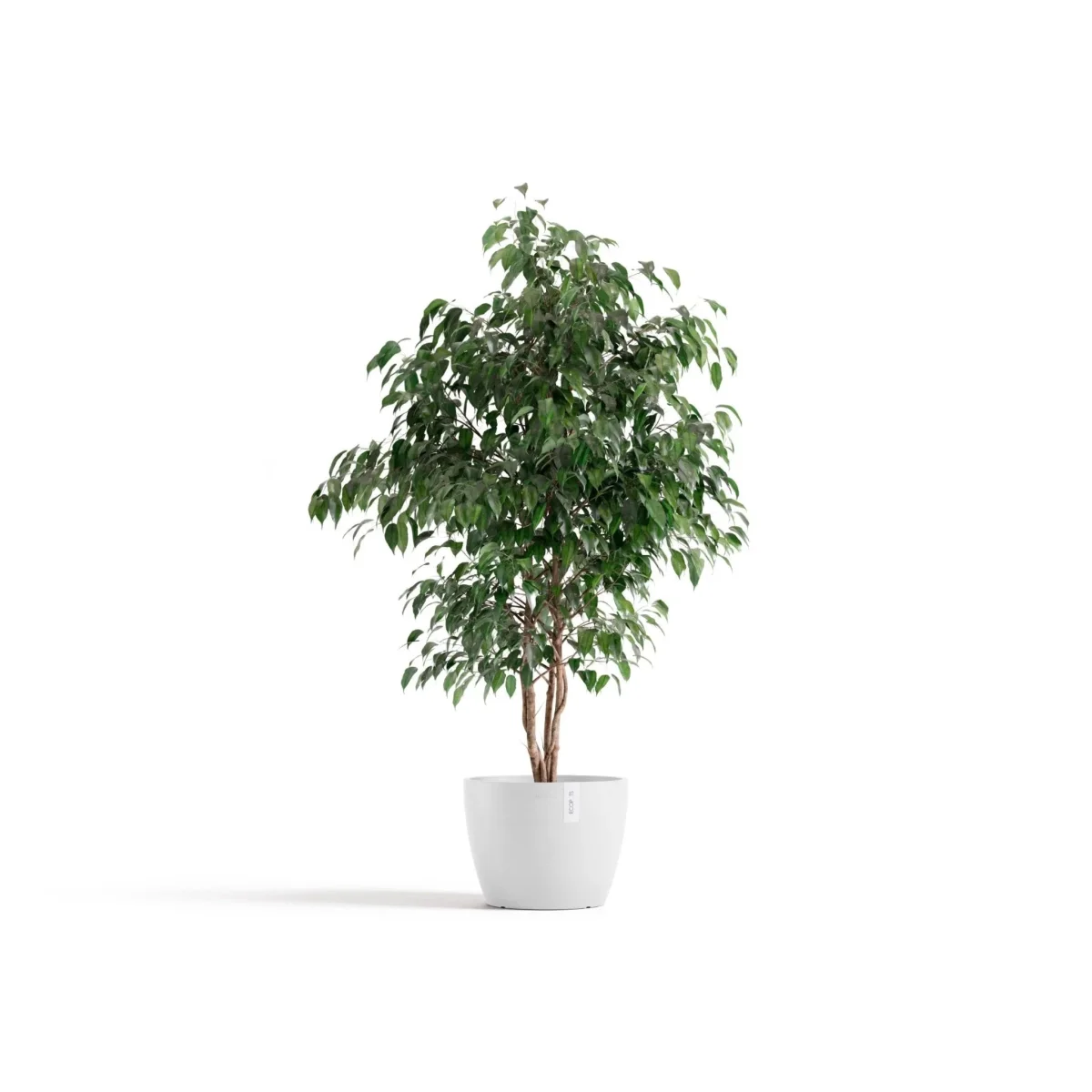 Kukkaruukku Tukholma 31cm valkoinen