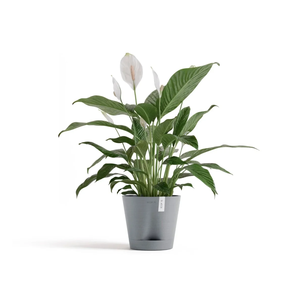 Kukkaruukku Venetsia 2.0 20cm siniharmaa