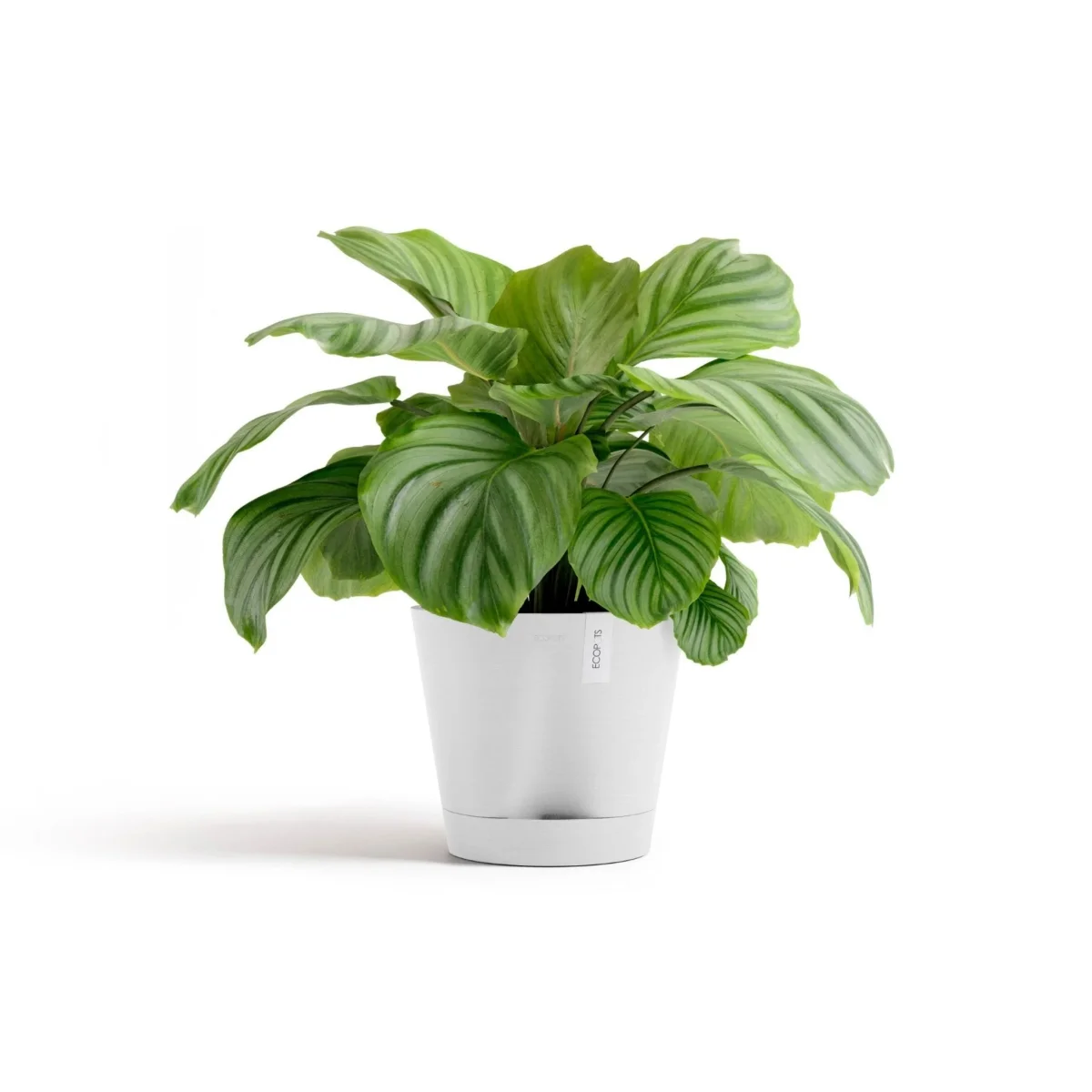 Kukkaruukku Venetsia 2.0 30cm valkoinen