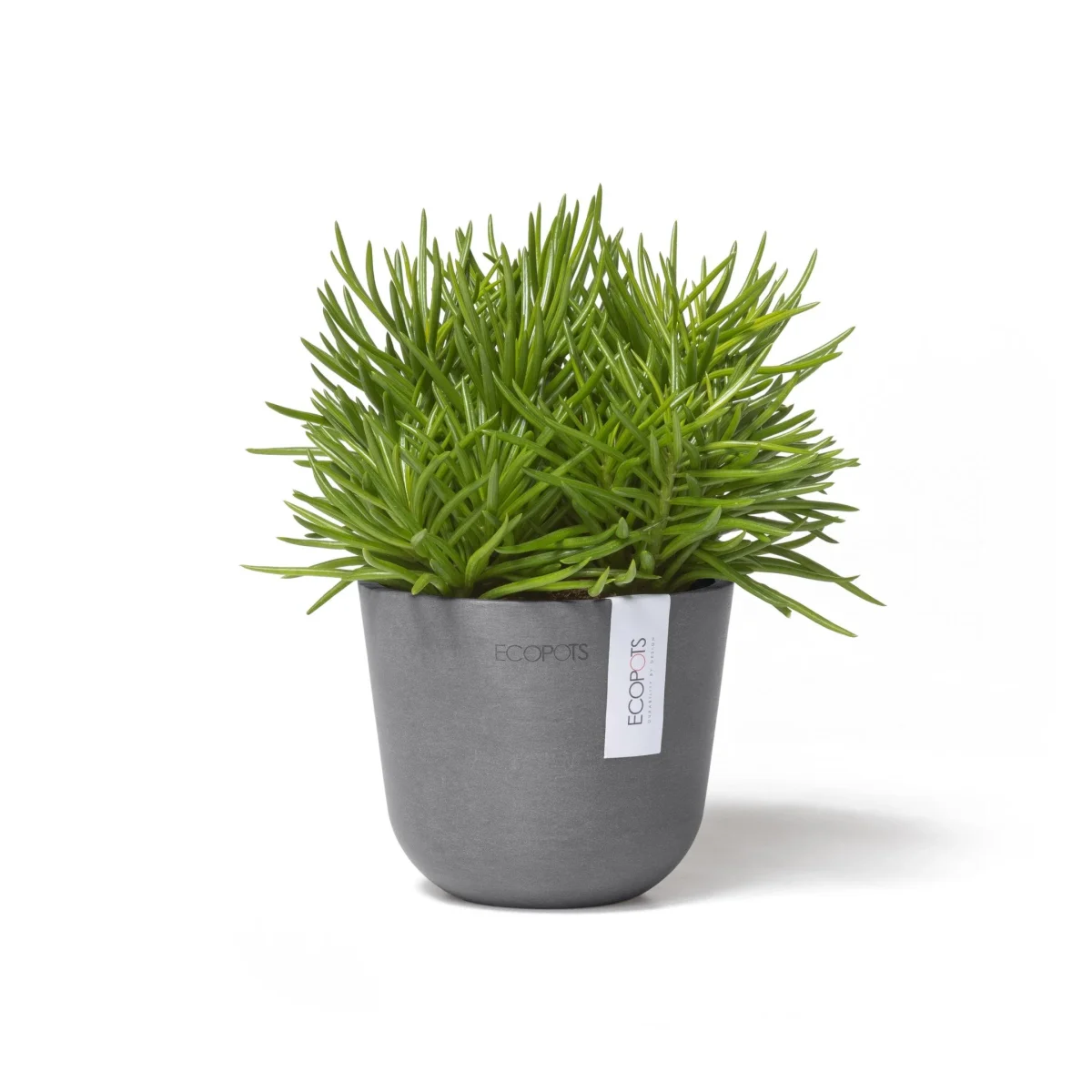 Kukkaruukku Oslo 11,5cm harmaa