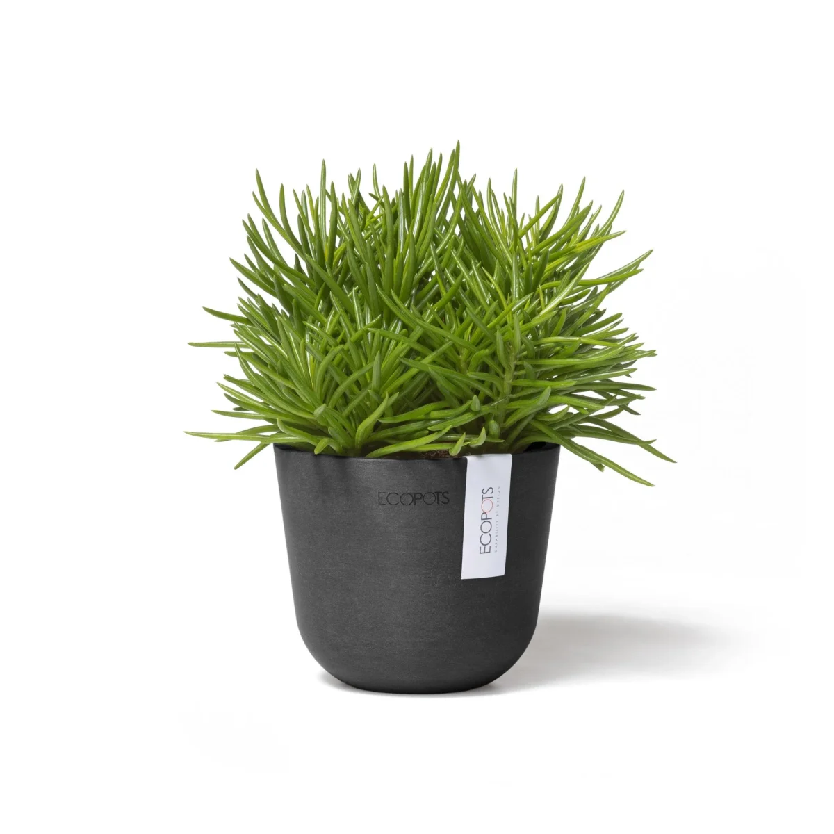 Kukkaruukku Oslo 11,5cm tummanharmaa