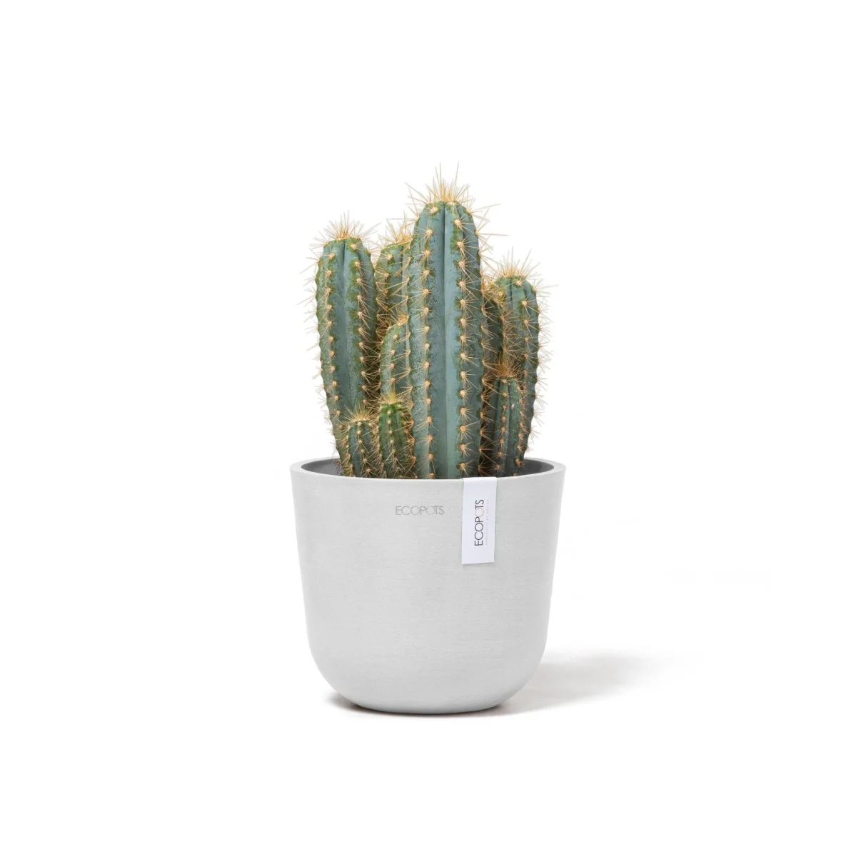 Kukkaruukku Oslo 16cm valkoinen