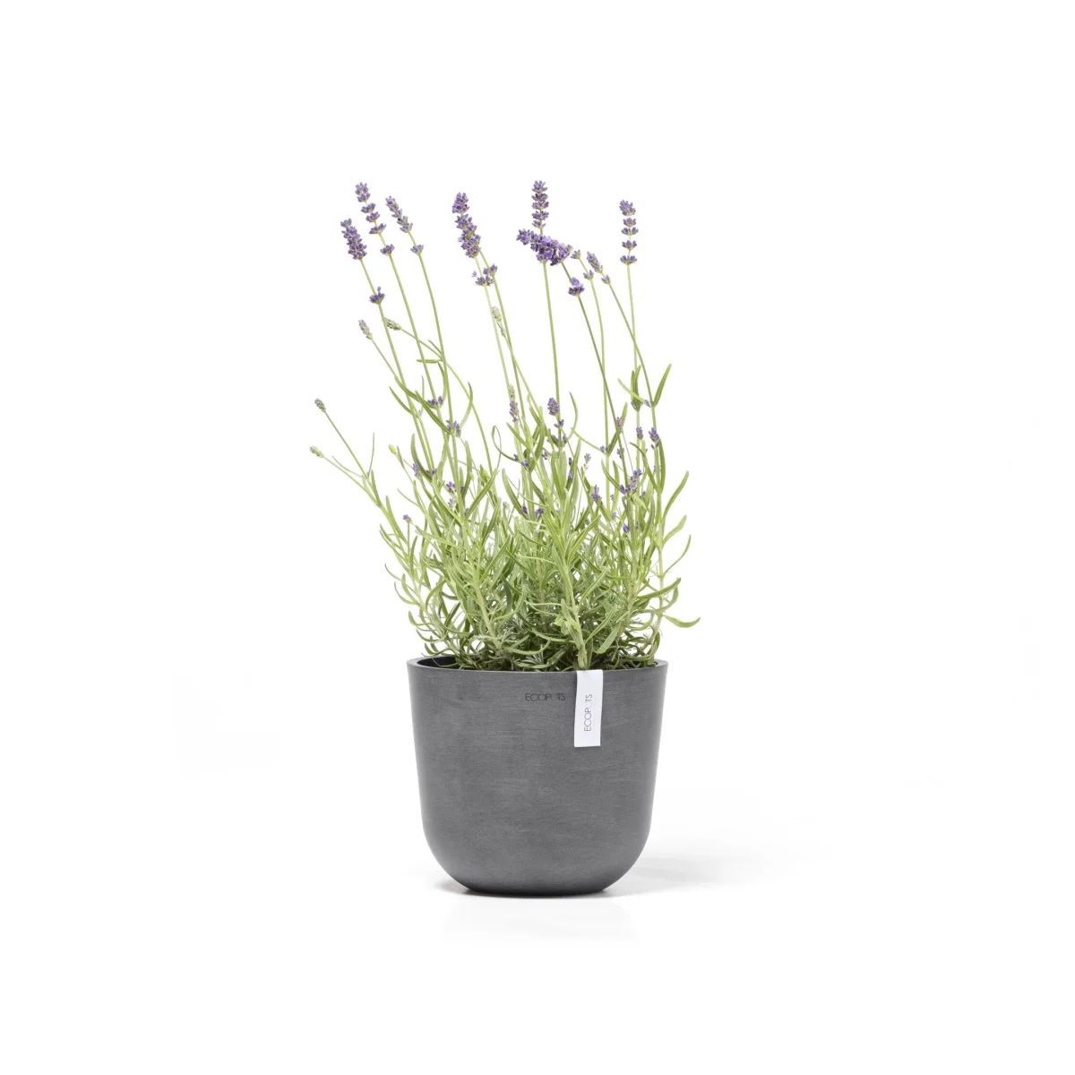 Kukkaruukku Oslo 19cm harmaa