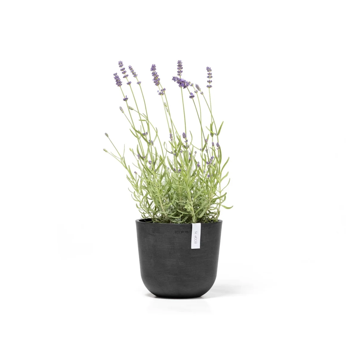 Kukkaruukku Oslo 19cm tummanharmaa