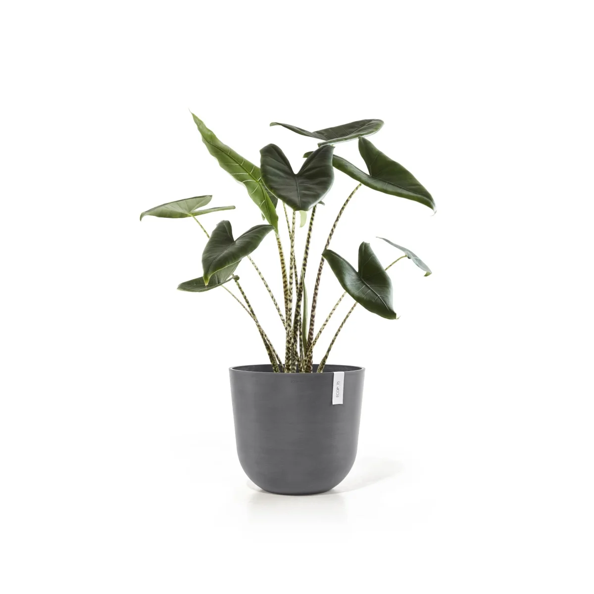 Kukkaruukku Oslo 45cm harmaa