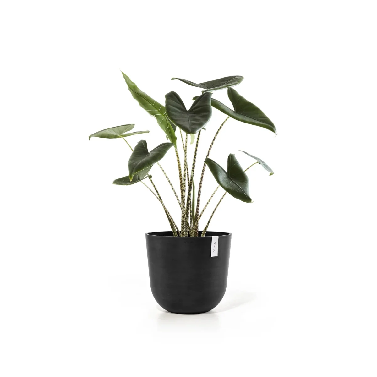 Kukkaruukku Oslo 45cm tummanharmaa