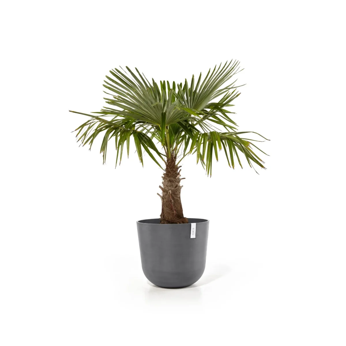 Kukkaruukku Oslo 55cm harmaa