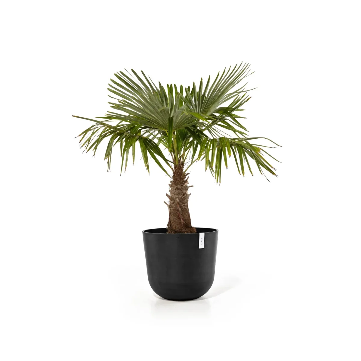 Kukkaruukku Oslo 55cm tummanharmaa
