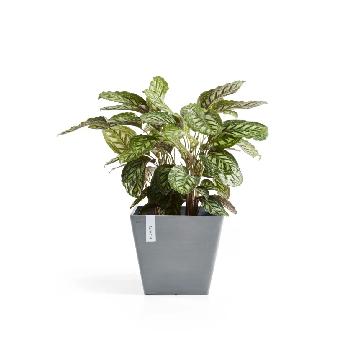 Kukkaruukku Rotterdam 40cm siniharmaa