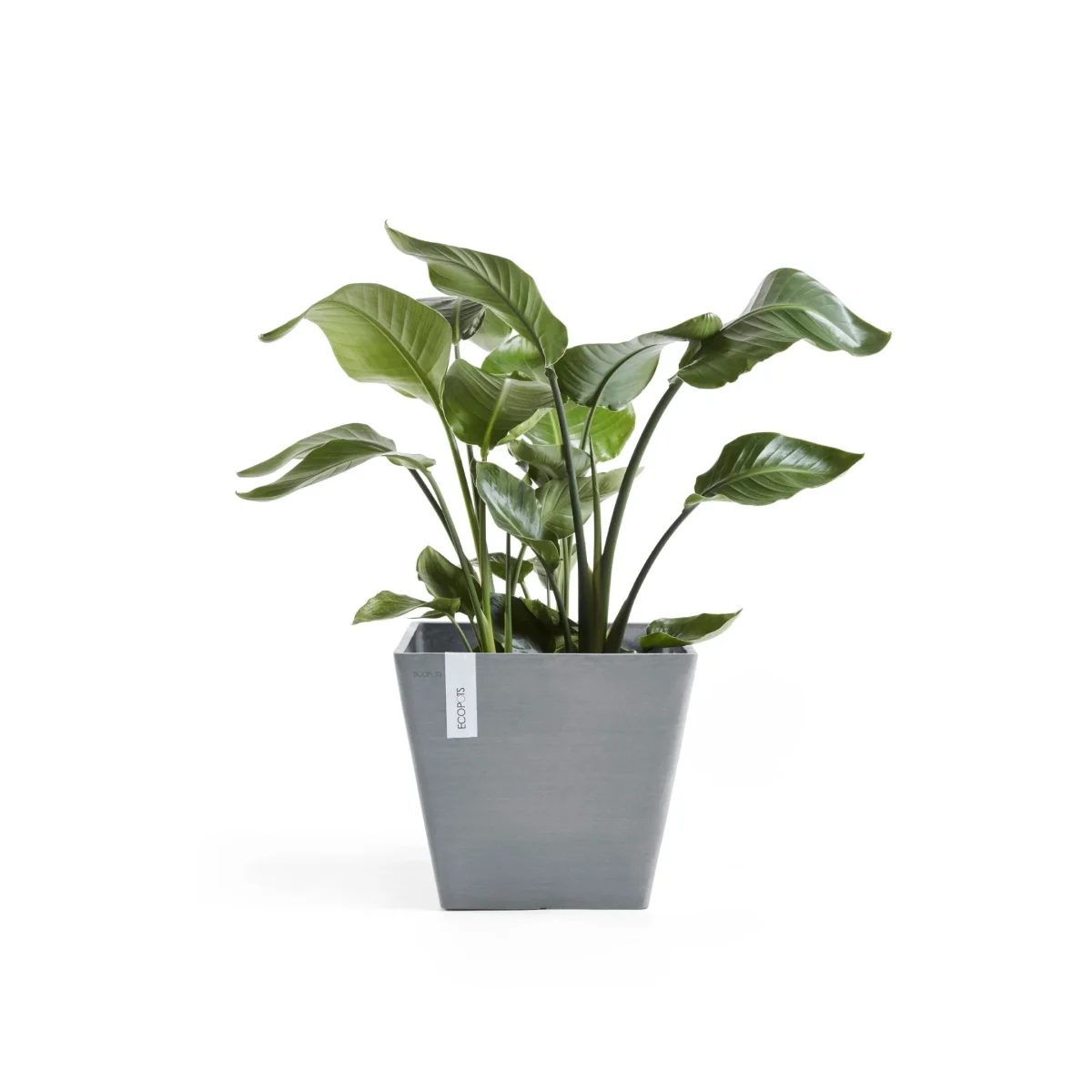 Kukkaruukku Rotterdam 50cm siniharmaa