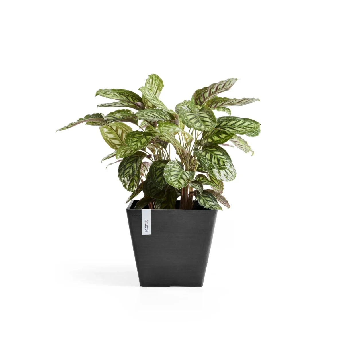 Kukkaruukku Rotterdam 50cm tummanharmaa