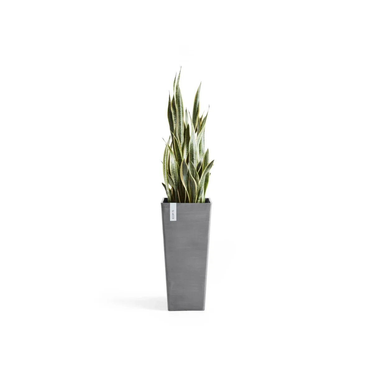 Kukkaruukku Rotterdam korkea 70cm harmaa