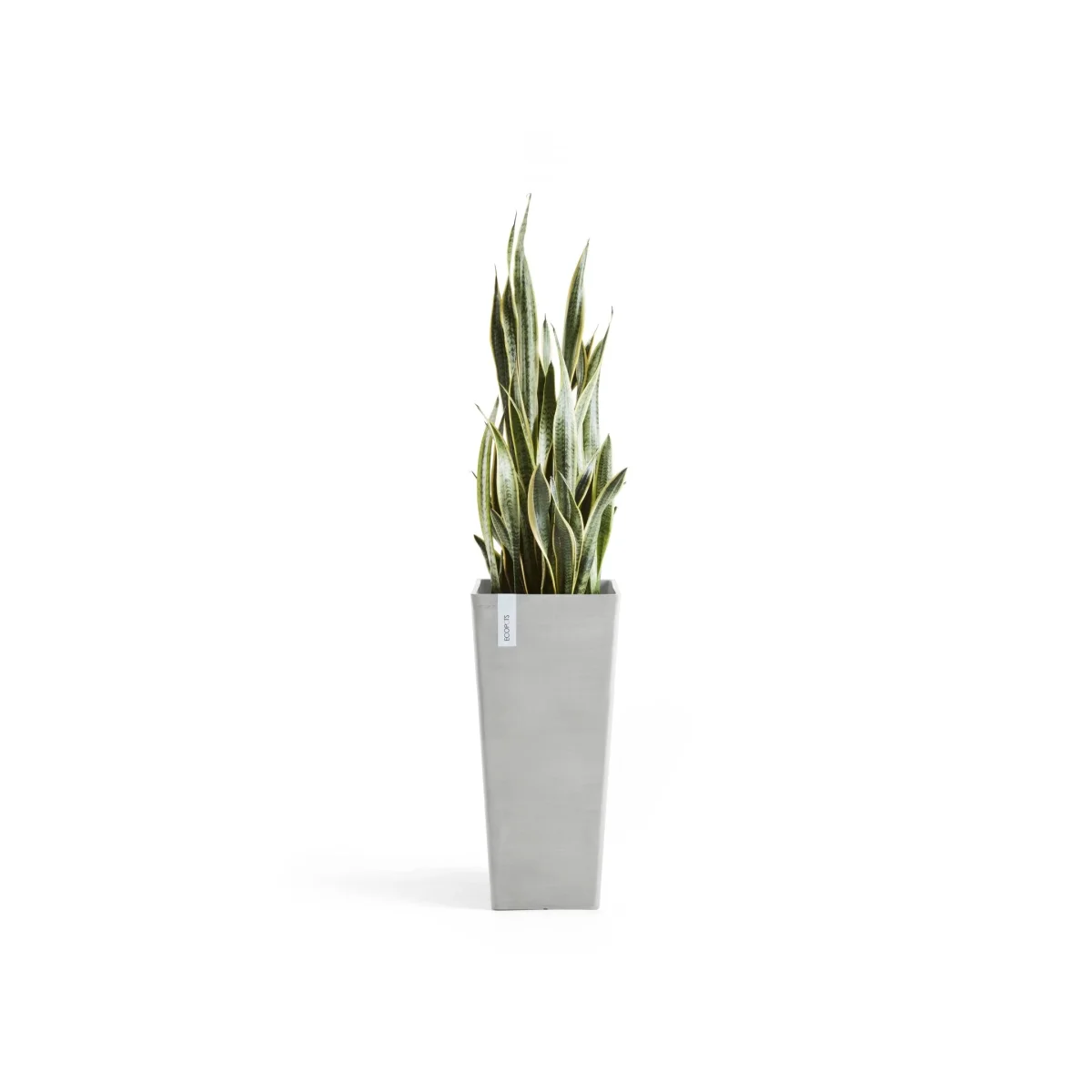Kukkaruukku Rotterdam korkea 70cm valkoharmaa