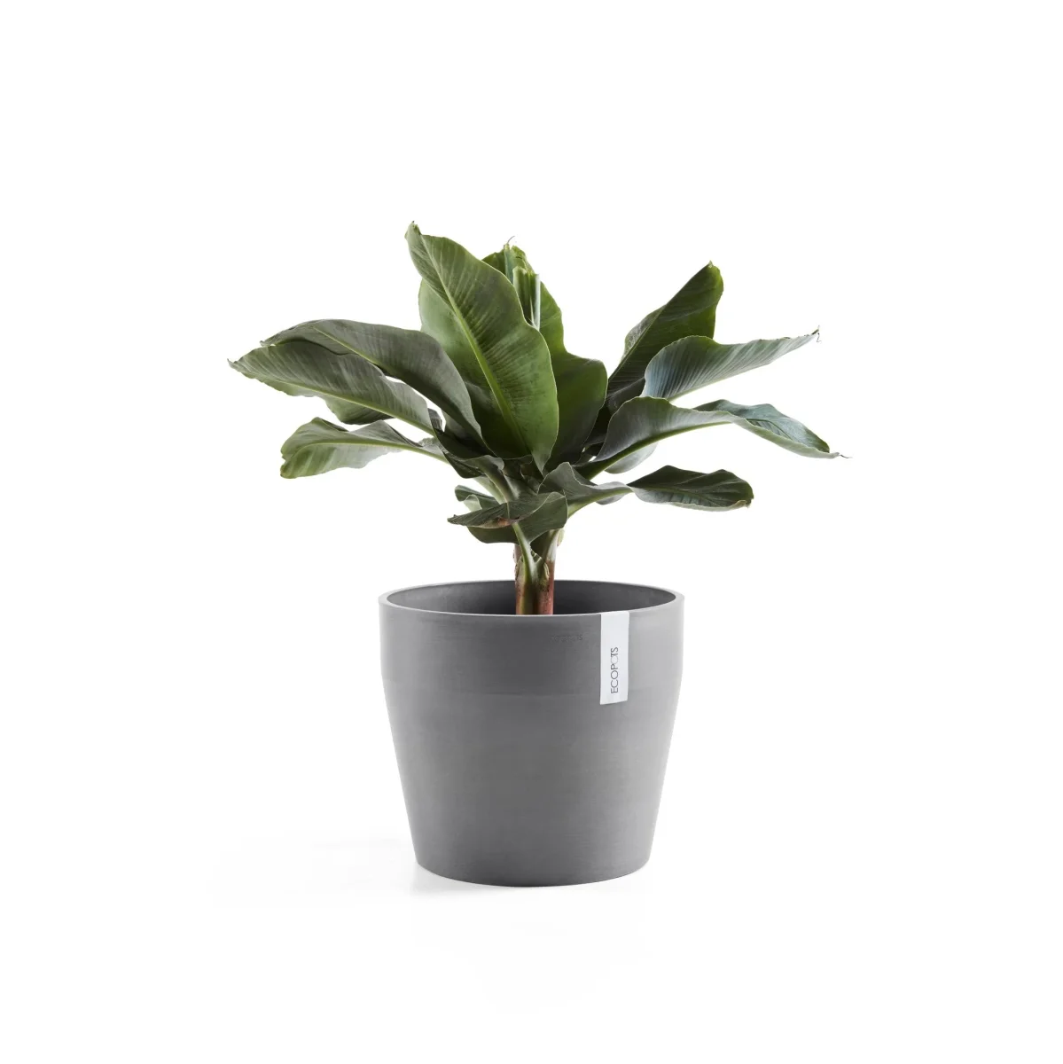 Kukkaruukku Sankara 40cm harmaa