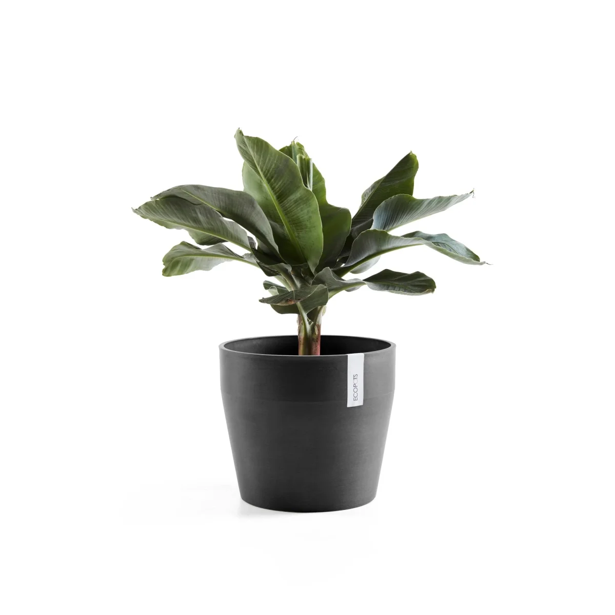 Kukkaruukku Sankara 40cm tummanharmaa