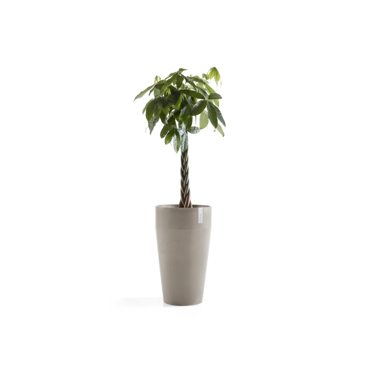 Kukkaruukku Sankara korkea 75cm taupe