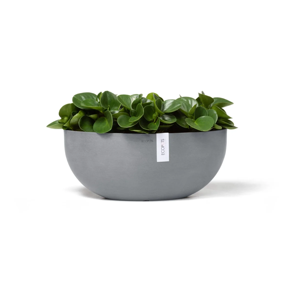 Kukkaruukku Sofia 43cm siniharmaa